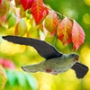 image thumbnail