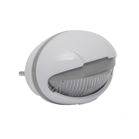 Product Φωτάκι Νυκτός LED Με Αισθητήρα Φωτός Phenom 20264 base image