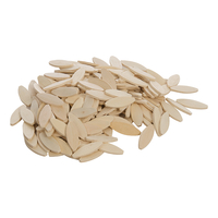 Product Καβίλιες Οβάλ Νο0 200 τεμ. Silverline 245065 base image