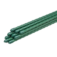 Product Στήριγμα Φυτών Μεταλλικό 180cm Φ11 base image