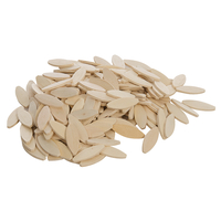 Product Καβίλιες Οβάλ Νο10 200 τεμ. Silverline 457012 base image