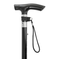 Product Μπαστούνι Πτυσσόμενο 94cm Hi 52005 base image