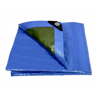 Product Μουσαμάς Γενικής Χρήσης Μπλε/Πράσινο 120gr 2x4m base image