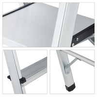 Product Aluminium Ladder 5+1 Steps Prostep PS1212 base image