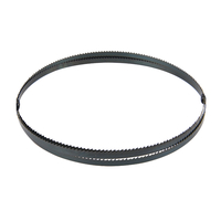 Product Λεπίδα Πριονοκορδέλας 10 TPI Silverline 868739 base image