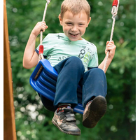 Product Blue Children's Swing King R1527300 base image