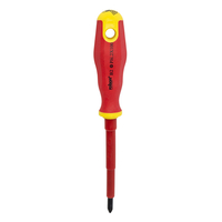 Product VDE Phillips Screwdriver B2 PH2x100mm Rolson base image