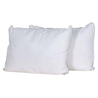 Product Μαξιλάρια Ύπνου Σετ 2 τεμ. Cotton base image
