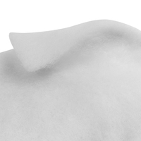 Product Φίλτρο Απορροφητήρα 45x80cm Fasma base image