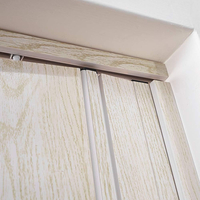 Product Foldable PVC Door Baige 88x220cm base image