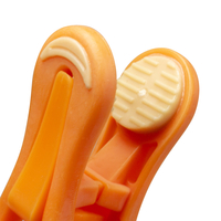 Product 12 Clothes Hanging Plastic Pegs 4100519 base image