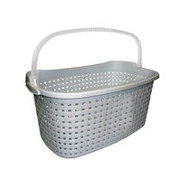 Product Καλάθι Πλαστικό "PAGLIA" 40Lt Με Χερούλι base image