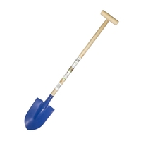 Product Φτυάρι Παραλίας 77cm Σε 2 Χρωμ. Benson 012637 base image