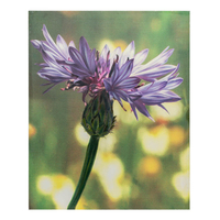 Product Πίνακας Με Εκτύπωση Σε Καμβά 40x50cm "Μοβ Λουλούδι" base image