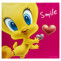 Product Πίνακας Με Εκτύπωση Σε Καμβά 45x45cm Tweety base image