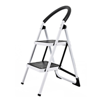 Product Steel Ladder 2 Steps Prostep PS1243 base image