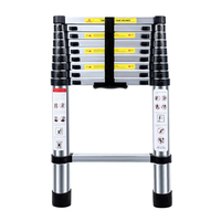 Product Telescopic Aluminium Ladder 9+1 Prostep PS1533 base image