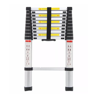Product Telescopic Aluminium Ladder 10+1 Prostep PS1618 base image