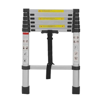 Product Telescopic Aluminium Ladder 6+1 Prostep PS1526 base image