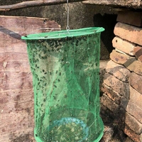 Product Insect Trap Net Martom TG56597 base image