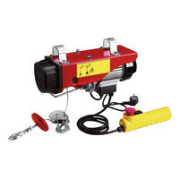 Product Παλάγκο Ηλεκτρικό 1020W MINI TYPE 125/250KG base image