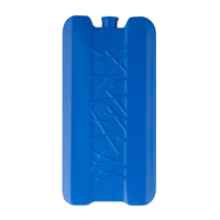Product Ice Pack 300ml Blue base image