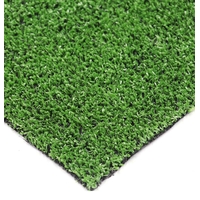 Product Plastic Grass 12mm 2x1m base image
