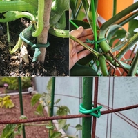 Product 5m Garden Tie Sidirela E-4288 base image