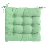 Product Chair Pillow 40x40cm Light Green Sidirela "Relax" base image