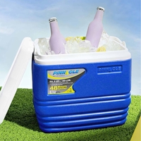 Product 10Lt Blue Cool Box Primero Pinnacle base image