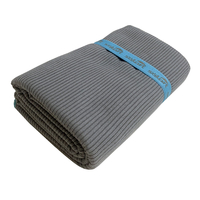 Product Microfiber Beach Towel Grey/Light Blue 75x150cm Solart 4926 base image