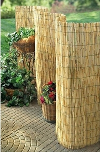 Product Reed Screen 1x5m Garden Friend AO940 base image