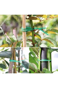 Product Σύρμα Πλαστικοποιημένο 50m ZPower base image