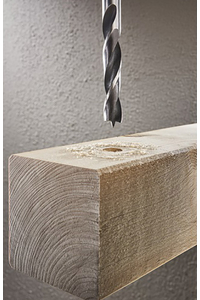 Product Τρυπάνι Ξύλου Ακίδας 10x133mm Alpen base image