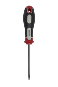Product Σουβλί 6x100mm Kreator KRT406101 base image