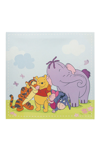 Product Πίνακας Με Εκτύπωση Σε Καμβά 38x38cm Winnie Decofun base image