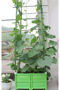 Product Στήριγμα Φυτών Μεταλλικό 120cm Φ11 base image