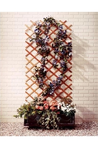 Product Wood Trellis Cherry Color 150x180cm base image