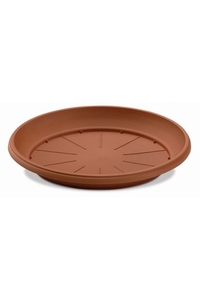 Product Πιάτο Στρόγγυλο Festone Φ48cm base image