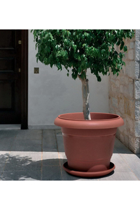 Product Πιάτο Στρόγγυλο Festone Ανθρακί base image