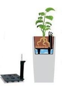 Product Σύστημα Αυτόματου Ποτίσματος 31x31cm Για Κασπώ base image