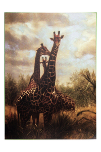 Product Πίνακας Με Εκτύπωση Σε Καμβά 50x70cm "Giraffe" base image