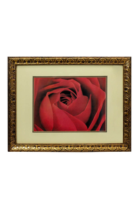 Product Πίνακας Με Εκτύπωση Σε MDF Με Κορνίζα 39x30cm "Τριαντάφυλλο" base image