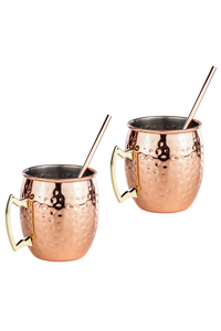 Product Mule Cups With Straws 2 Pcs Hi 13073 base image