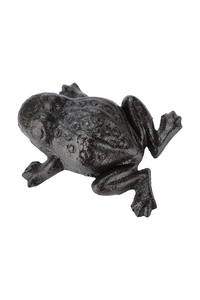 Product Key Hiding Case "Frog" Hi 57279 base image