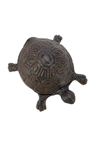 Product Key Hiding Case "Tortoise" Hi 57279 base image