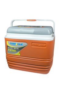 Product Ψυγείο 32Lt Primero Pinnacle base image