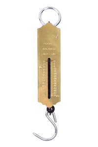Product Spring Scale 25Kg Benson 000976 base image