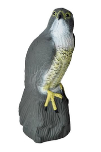 Product Bird Repeller "Falcon" TG60292 base image