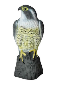 Product Σκιάχτρο Πουλιών "Γεράκι" TG60292 base image